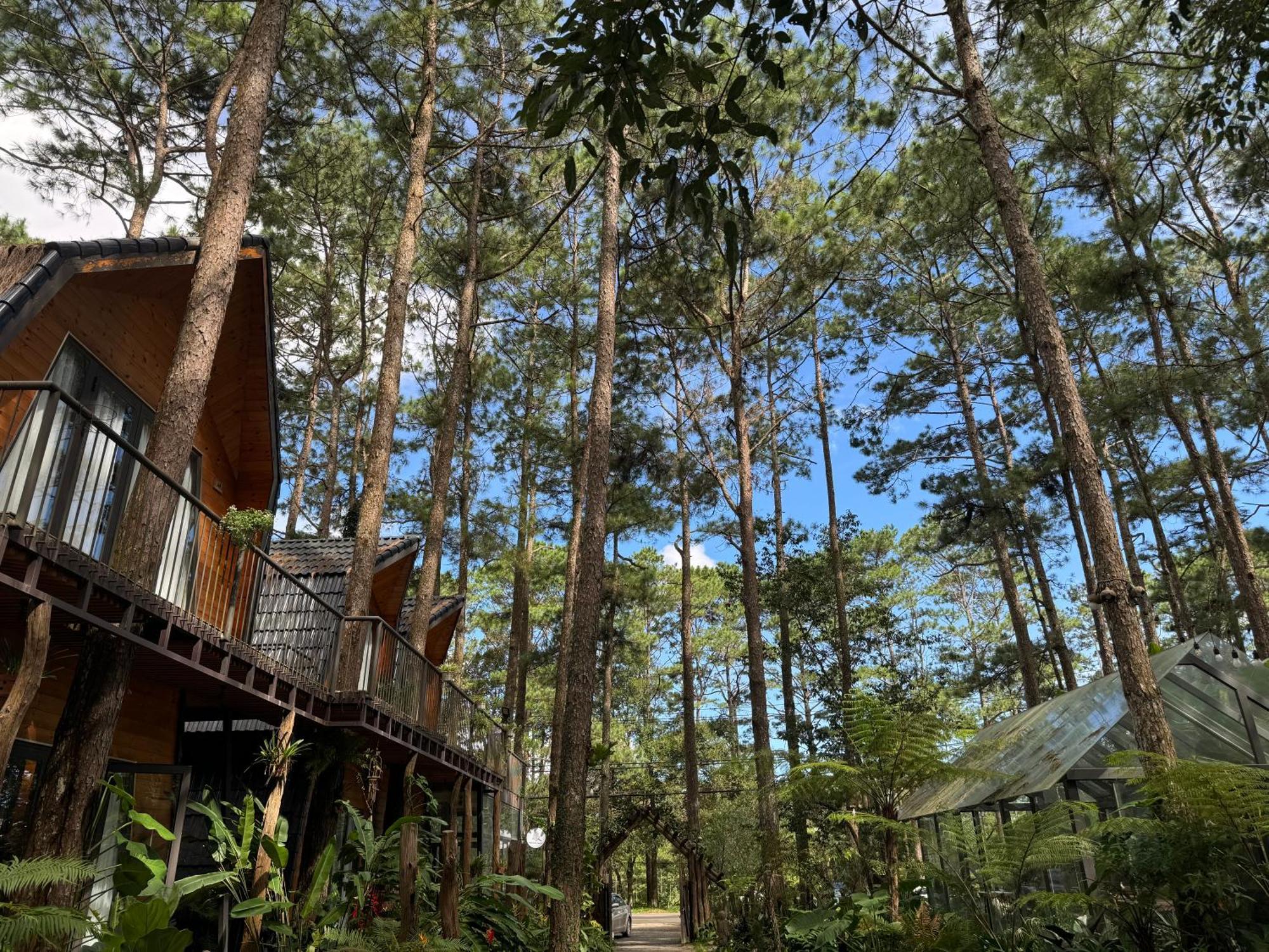 T'Măng Đeeng Homestay Kon Von Kla Ngoại thất bức ảnh